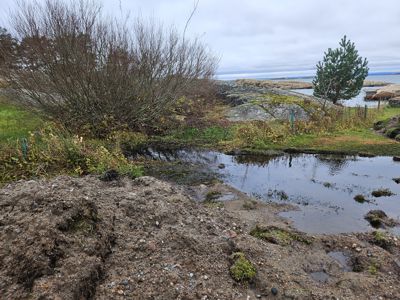 Fotografi av et naturområde med vegetasjon, vann og stein, sannsynligvis en del av et byggeområde eller tomt.
