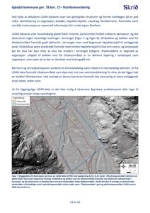 Et kart som viser et geografisk område (Dirdalsåna og bekken vest) basert på LIDAR-data, med overlagte linjer for tiltaksområde og påvirkningsområde.