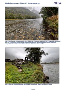 Fotografier av elvestrekning og en plattingsområde ved Dirdalsdåna, inkludert tekster som beskriver figurene.