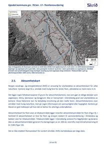 Et skyggedata 2D kart (DOM) som viser et område med topografi, bebyggelse og vegetasjon, brukt i en flomfarevurdering.