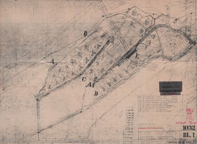 Situasjonsplan som viser tomtens form, terrengforhold (konturlinjer), og plassering av flere boliger på tomten.