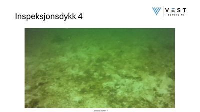 Fotografi fra et inspeksjonsdykk under vann, som viser havbunn eller en konstruksjon i vann.