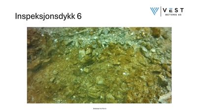 Fotografi fra et inspeksjonsdykk (6) som viser grunnen under vann, sannsynligvis for å undersøke grunnforhold eller forurensning.