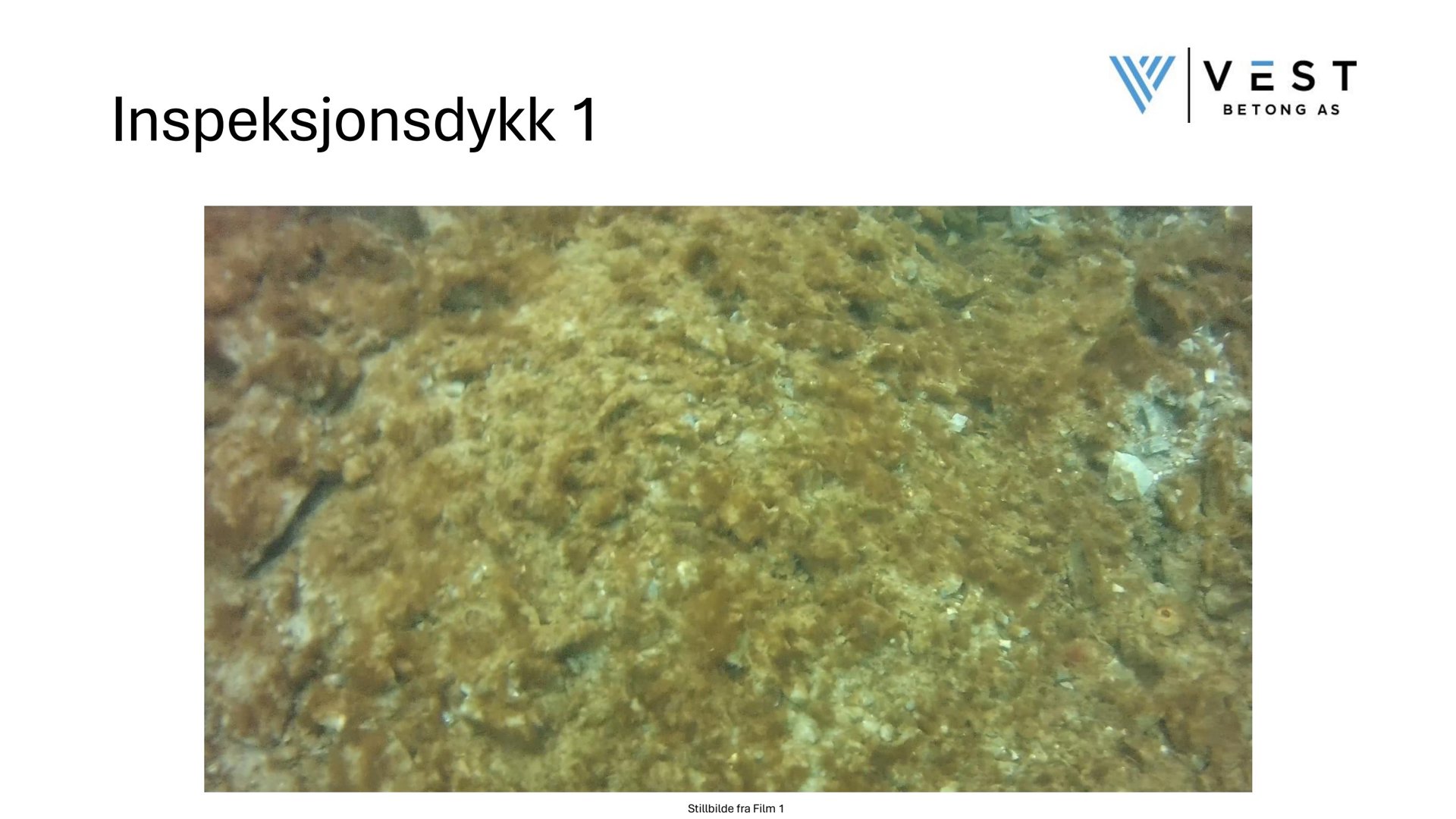 Fotografi fra et inspeksjonsdykk under vann, som viser en underliggende overflate (muligens grunn eller stein) med vegetasjon eller sediment.
