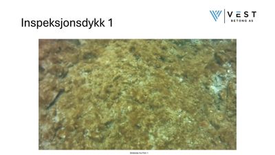 Fotografi fra et inspeksjonsdykk under vann, som viser en underliggende overflate (muligens grunn eller stein) med vegetasjon eller sediment.