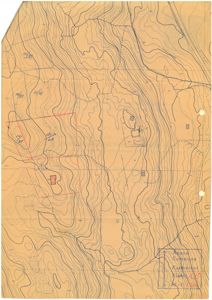 Situasjonsplan med høydekurver, tomtemarkeringer og bygningsplasseringer