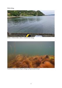 Fotografier av et tiltaksområde ved vann og det underliggende havbunnsmiljøet.