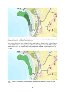 Kart som viser to alternativer for avgrensning av ålegraseng ved Strandastøa. Kartet inneholder topografi, vannmasser, veier og bebyggelse.