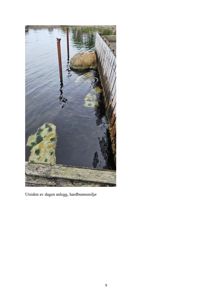 Fotografi av utsiden av et anlegg, som viser vann, en stein, og en trekonstruksjon. Bildet illustrerer hardbunnsmiljøet.