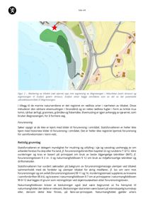 Et kart som viser et kystområde med en markert utbredelsesområde for ålegressen (Naturbase) og en annen markering (Ecofact). Kartet inkluderer også infrastruktur som veier og bygninger.