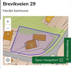 Kartutsnitt fra Norgeskart som viser eiendommen Brevikveien 29 i Færder kommune, med tomtegrenser, naboeiendommer og topografi.