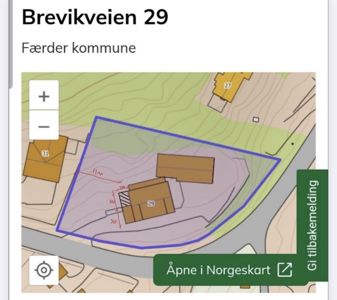 Situasjonsplan som viser tomtens grenser (blå linje), bygningers plassering (brune rektangler), høydeforhold (konturlinjer) og nabolag.