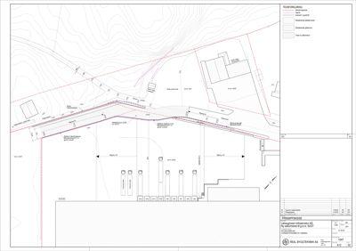 Situasjonsplan som viser tomtens terrengforhold (konturlinjer), eksisterende og planlagt bebyggelse, samt grenser til naboeiendom.