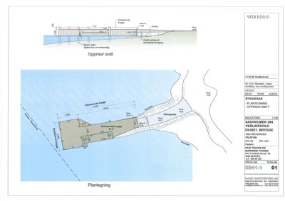 Situasjonsplan (tomteplan) som viser eksisterende brygge, planlagt brygge, vannkvalitet og omgivende terreng.