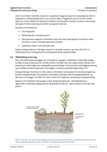 Et illustrasjonsbilde (fotografi) som viser et eksempel på oppbygging av et massedeponi med steinmasser nederst og vegetasjon øverst.