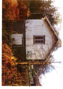 Fotografi av en liten, hvit, trepanelert bygning (kanskje en uthus eller garasje) sett fra siden, med en dør og et vindu synlig. Bygningen står i et naturlig, vegetasjonstett miljø.