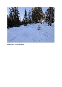 Fotografi av et snødekt skogområde med en liten åpen plass, som er merket 'Åpning i skog, tomteplassering'.
