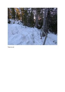 Fotografi av en snødekt skogsterrang med en ny anlagt vei (trase) og en gjerde. Bildet illustrerer terrenget og traseen for en ny vei.