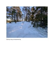 Fotografi av en snødekt skogstomte med en åpenning mot utsikt, med teksten 'Åpning i skog, tomteplassering' under.