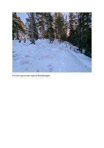 Fotografi av en snødekt skråning med trær, tatt fra tomten mot sør.