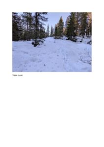 Fotografi av en snødekt skogsterrang med en tydelig trase for en ny vei.