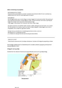 Situasjonsplan som viser eiendomsgrunn, eksisterende og planlagt bebyggelse, samt tilknytning til vei og vann/avløp.