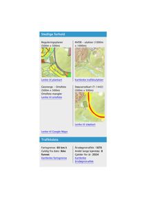 Et skjema eller rapport som viser ulike kart og data for et sted, inkludert reguleringsplan, ortofoto, støykart, trafikkkart og trafikkdata.