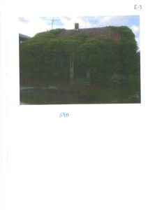 Fotografi av en eksisterende bygning sett fra utsiden, med et stort antall busker eller klatreplanter som dekker fasaden.