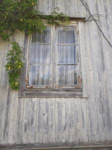 Fotografi av en fasade med et gammelt vindu i tre, omgitt av planter.