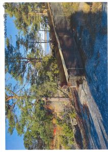 Fotografi av en eksisterende eller planlagt konstruksjon (en stor trestamme) i et naturområde.