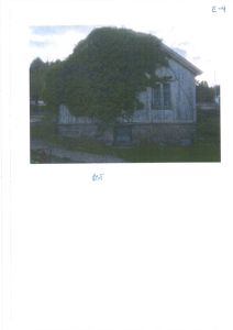 Fotografi av en liten, hvit bygning (kanskje en uthus eller garasje) som er delvis dekket av en stor, grønn plante (klatreplante).