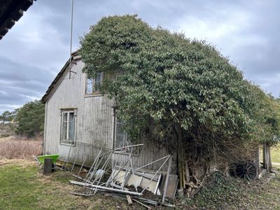 Fotografi av en gammel, hvitmalt trebygning (kanskje en uthus eller garasje) som er delvis overgrodd med buskverk. Foran ligger det en haug med uteliggende vinduer og rammer.