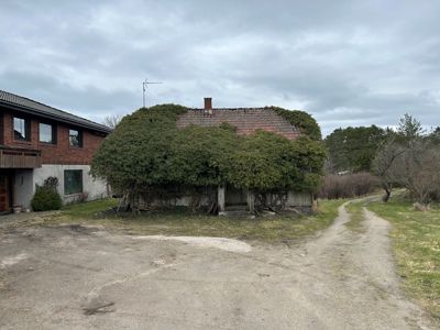 Fotografi av en tomt med et moderne hus til venstre og et gammelt, overgrodd hus i midten.