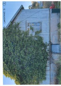 Fotografi av en eksisterende bygning (tømmerhus) sett fra siden, med mye gresskull på veggen.