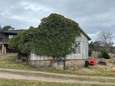 Fotografi av en gammel, hvitmalt hytte eller uthus som er delvis dekket av en stor busk. Bildet viser også en del av en annen bygning til venstre og omgivelser.