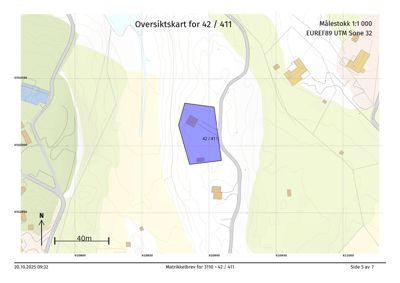 Oversiktskart (situasjonsplan) som viser eiendommen 42/411 med matrikkelnummer, topografi og nabolag.