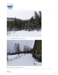 Fotografier av et snødekt område med gran og bartrær, med tekster som beskriver retningen (nord/vest).