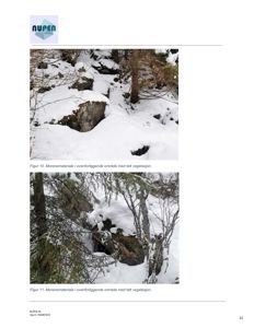 Fotografier av snødekt morenemateriale i et område med vegetasjon.