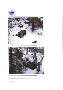 Fotografier av merenemateriale i et snødekt område med tett vegetasjon.