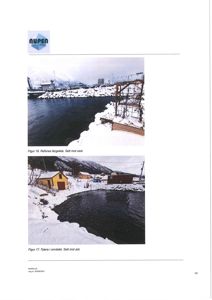 Fotografier av et område (Refnes fergeleie og fjæra) med snødekke, inkludert bygninger og vann.