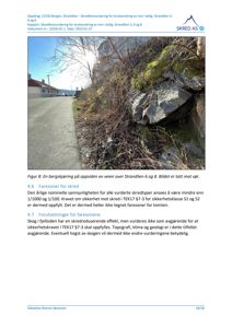 Fotografi av bergskjæring og vegetasjon langs en vei, tatt mot sør i forbindelse med skredfarevurdering.