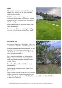 Et fotografi som viser en grussti med steiner i et innmarksområde, samt et annet bilde av hekk/rekverk ved vann.