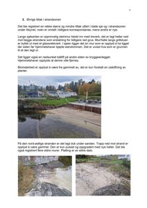 Fotografier av en strandsones tilstand, inkludert steinmur, trapp og platting.