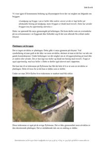 Et fotografi av en bygning sett fra luften (flyfoto), med blå sirkler som markerer trekrone på bryggen.