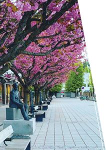Fotografi av en gate eller gågate med blomstrende trær, en statue og benker.