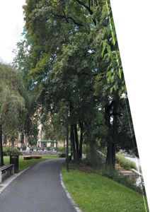 Fotografi av en park eller grønnstripe med en sti, trær og en bygning i bakgrunnen.