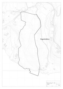 Situasjonsplan som viser et område med navn 'Høgsåsbakken', topografi, eksisterende bygninger og eiendomsgrenser.