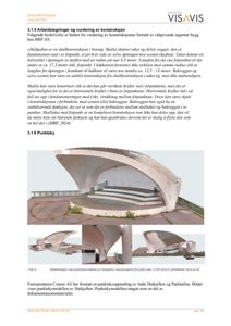 Fotografier av en fysisk punktskymodell (fysisk modell) av Haikjeften, inkludert tekstdokumentasjon om arbeidet.