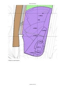 Utklipp fra et reguleringskart som viser tomtens form, høydekurver (c+46,5 osv.) og arealbruk.