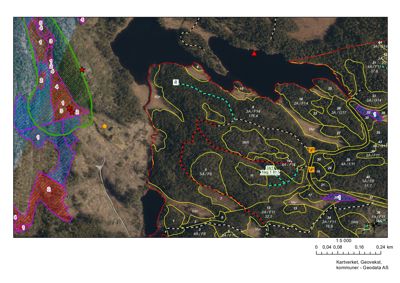 Et kart over et område med vann og skog, som viser ulike soner (f.eks. 1, 2, 3) og arealer (f.eks. 34A, 34B) med tilhørende arealdata. Kartet har en skala og er utgitt av Kartverket.